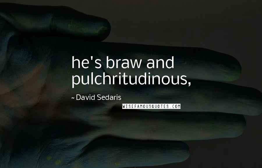 David Sedaris Quotes: he's braw and pulchritudinous,