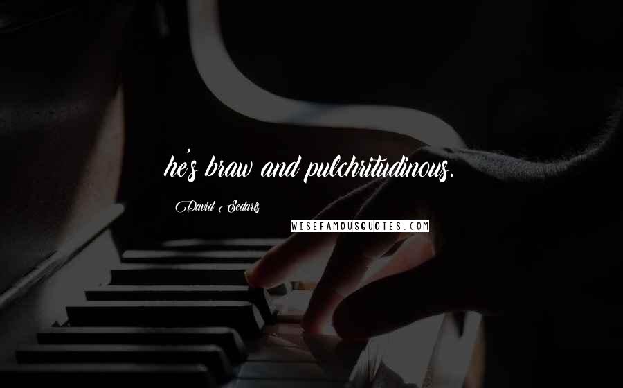 David Sedaris Quotes: he's braw and pulchritudinous,