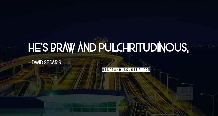 David Sedaris Quotes: he's braw and pulchritudinous,
