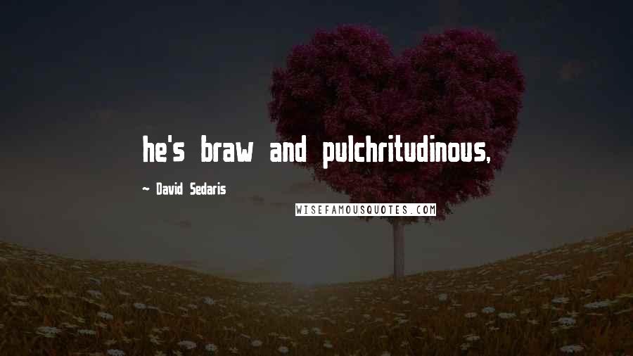 David Sedaris Quotes: he's braw and pulchritudinous,
