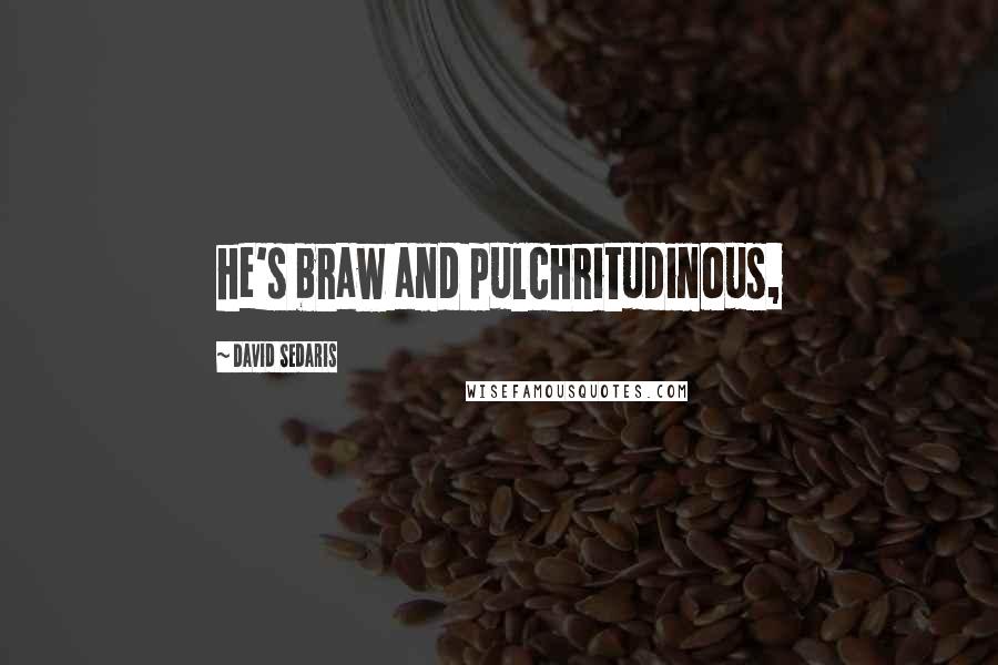 David Sedaris Quotes: he's braw and pulchritudinous,