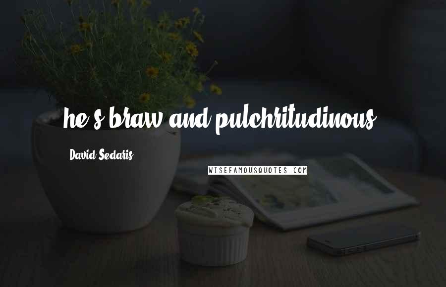 David Sedaris Quotes: he's braw and pulchritudinous,