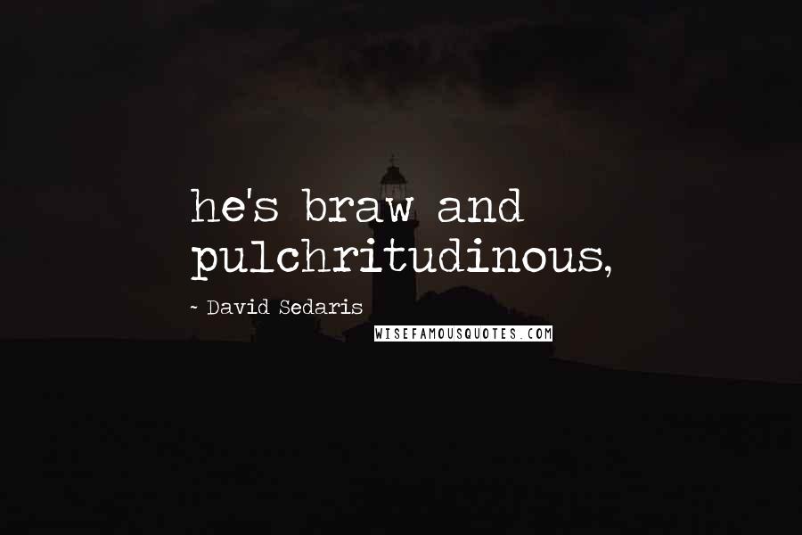 David Sedaris Quotes: he's braw and pulchritudinous,