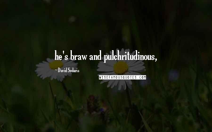 David Sedaris Quotes: he's braw and pulchritudinous,