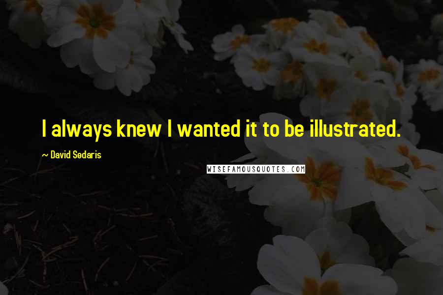 David Sedaris Quotes: I always knew I wanted it to be illustrated.