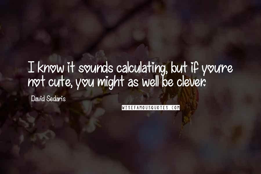 David Sedaris Quotes: I know it sounds calculating, but if you're not cute, you might as well be clever.