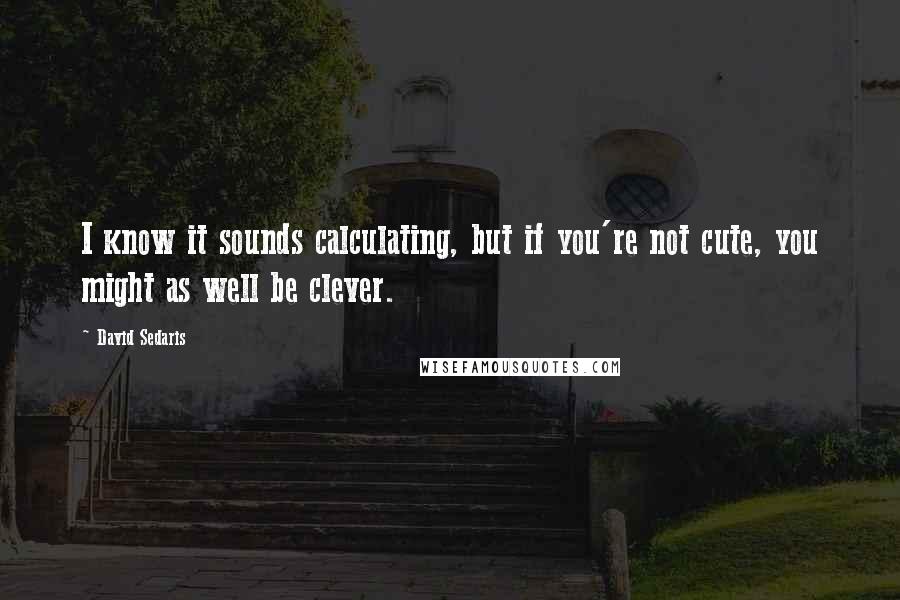 David Sedaris Quotes: I know it sounds calculating, but if you're not cute, you might as well be clever.