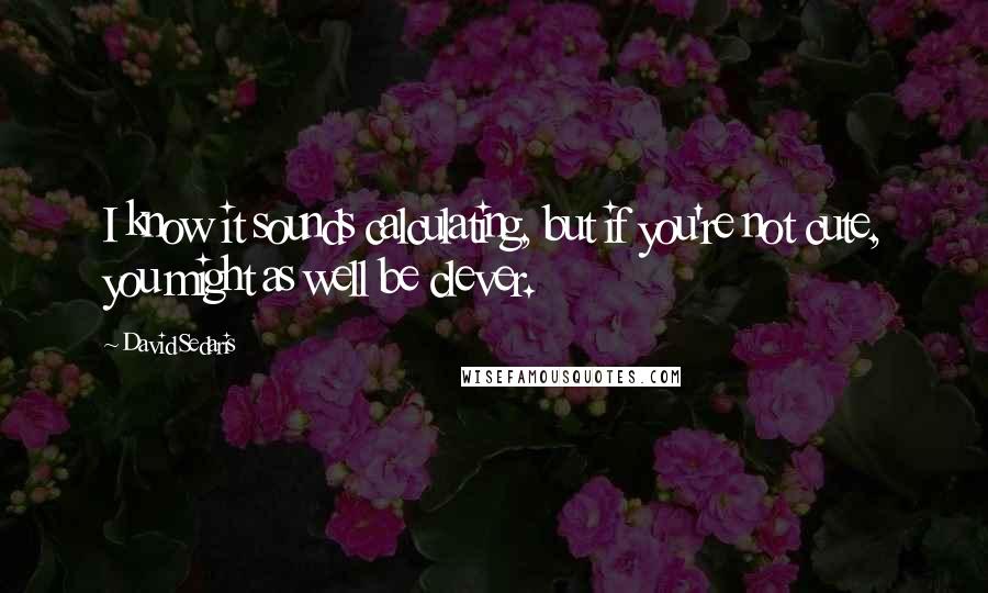 David Sedaris Quotes: I know it sounds calculating, but if you're not cute, you might as well be clever.