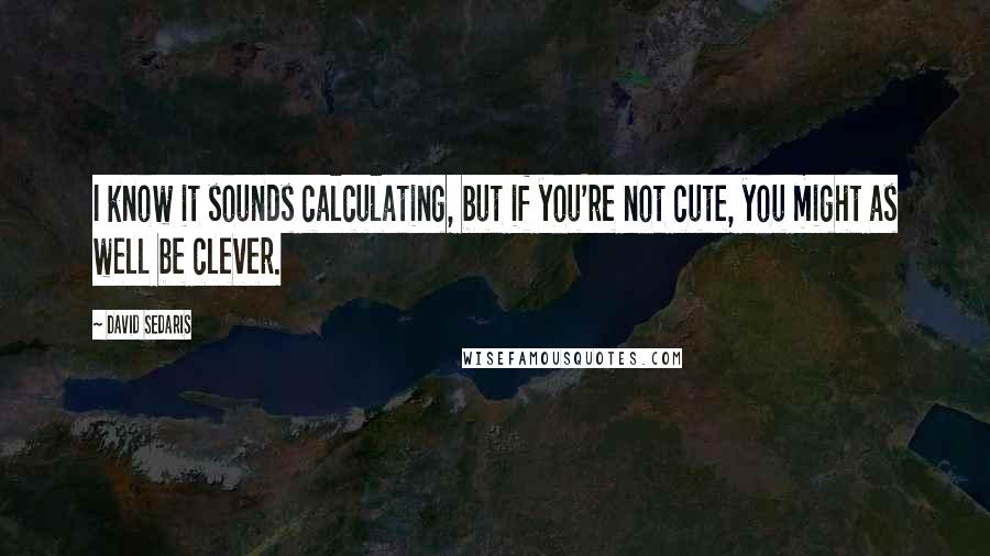 David Sedaris Quotes: I know it sounds calculating, but if you're not cute, you might as well be clever.