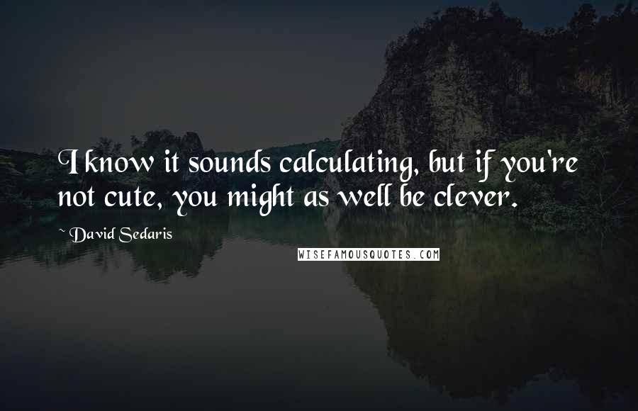 David Sedaris Quotes: I know it sounds calculating, but if you're not cute, you might as well be clever.