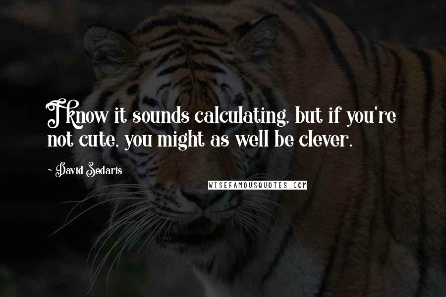 David Sedaris Quotes: I know it sounds calculating, but if you're not cute, you might as well be clever.
