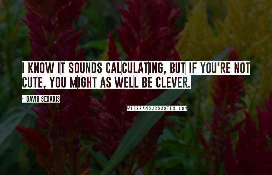 David Sedaris Quotes: I know it sounds calculating, but if you're not cute, you might as well be clever.