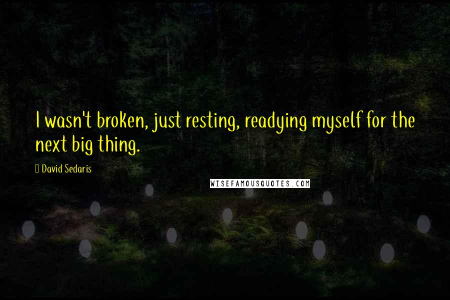 David Sedaris Quotes: I wasn't broken, just resting, readying myself for the next big thing.