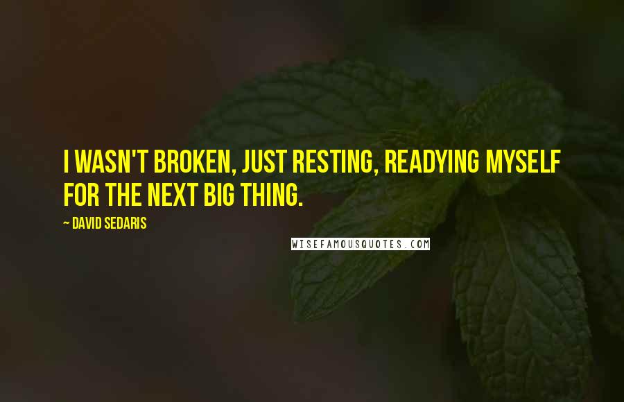 David Sedaris Quotes: I wasn't broken, just resting, readying myself for the next big thing.