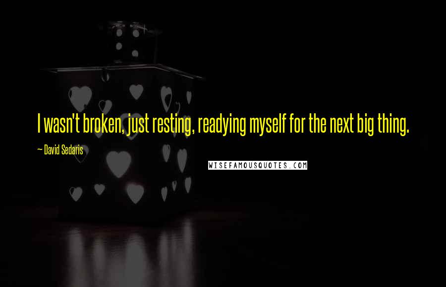 David Sedaris Quotes: I wasn't broken, just resting, readying myself for the next big thing.