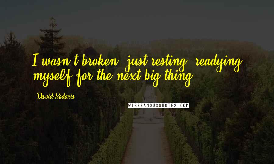 David Sedaris Quotes: I wasn't broken, just resting, readying myself for the next big thing.