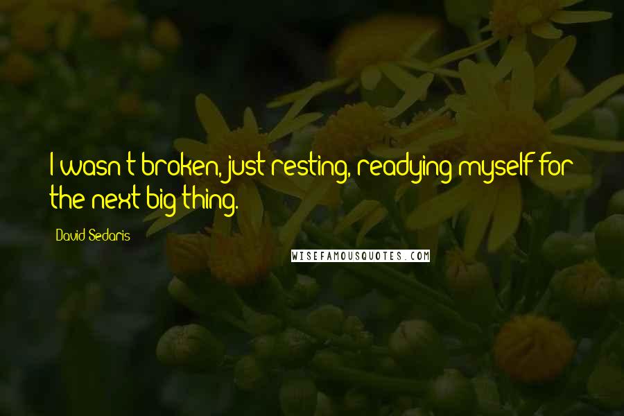 David Sedaris Quotes: I wasn't broken, just resting, readying myself for the next big thing.