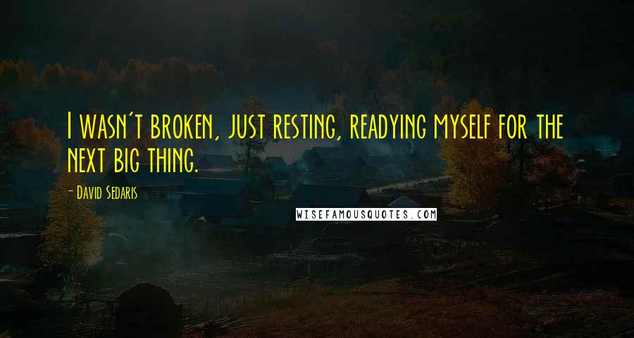 David Sedaris Quotes: I wasn't broken, just resting, readying myself for the next big thing.