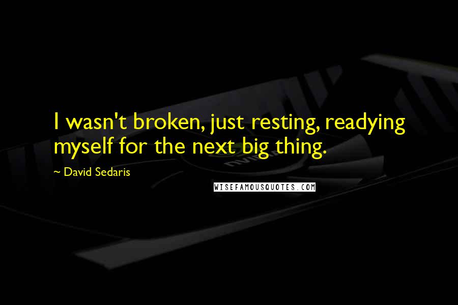 David Sedaris Quotes: I wasn't broken, just resting, readying myself for the next big thing.