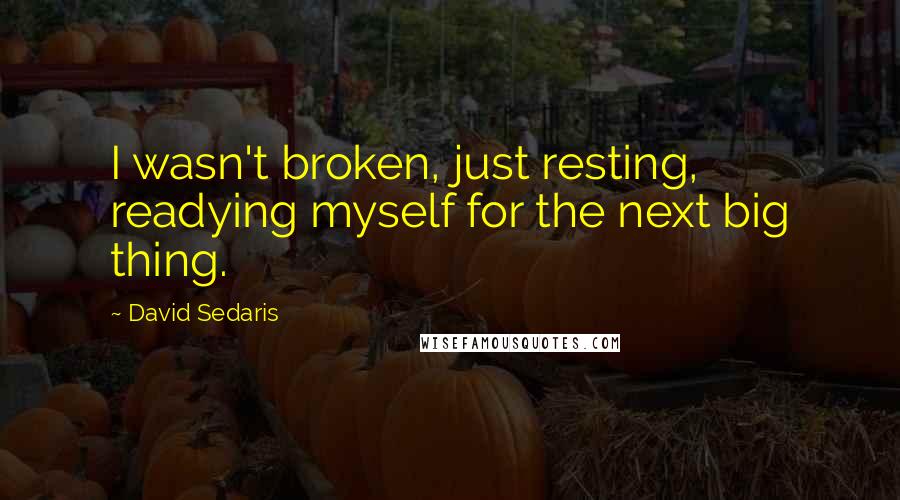 David Sedaris Quotes: I wasn't broken, just resting, readying myself for the next big thing.