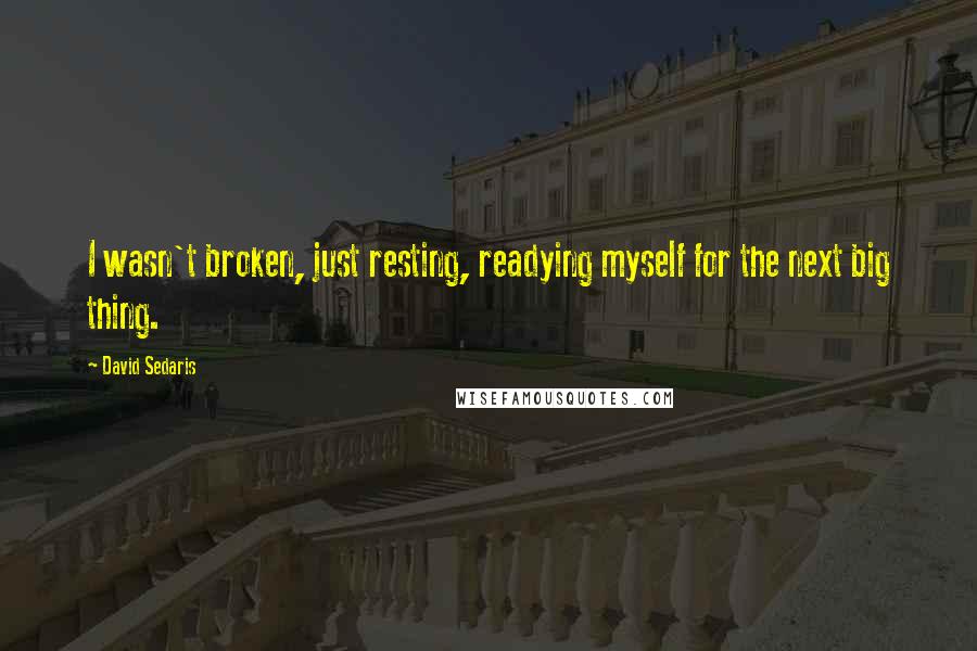 David Sedaris Quotes: I wasn't broken, just resting, readying myself for the next big thing.