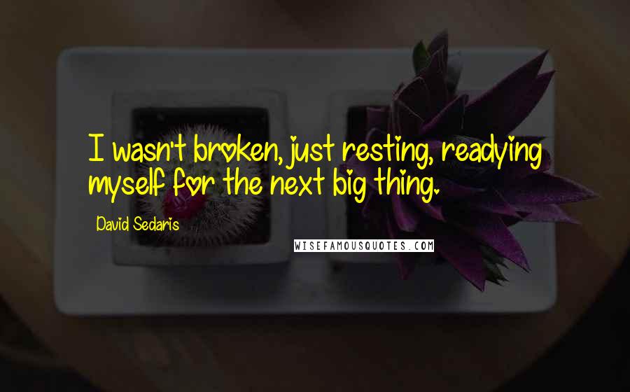 David Sedaris Quotes: I wasn't broken, just resting, readying myself for the next big thing.