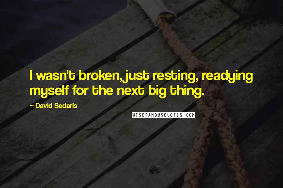 David Sedaris Quotes: I wasn't broken, just resting, readying myself for the next big thing.