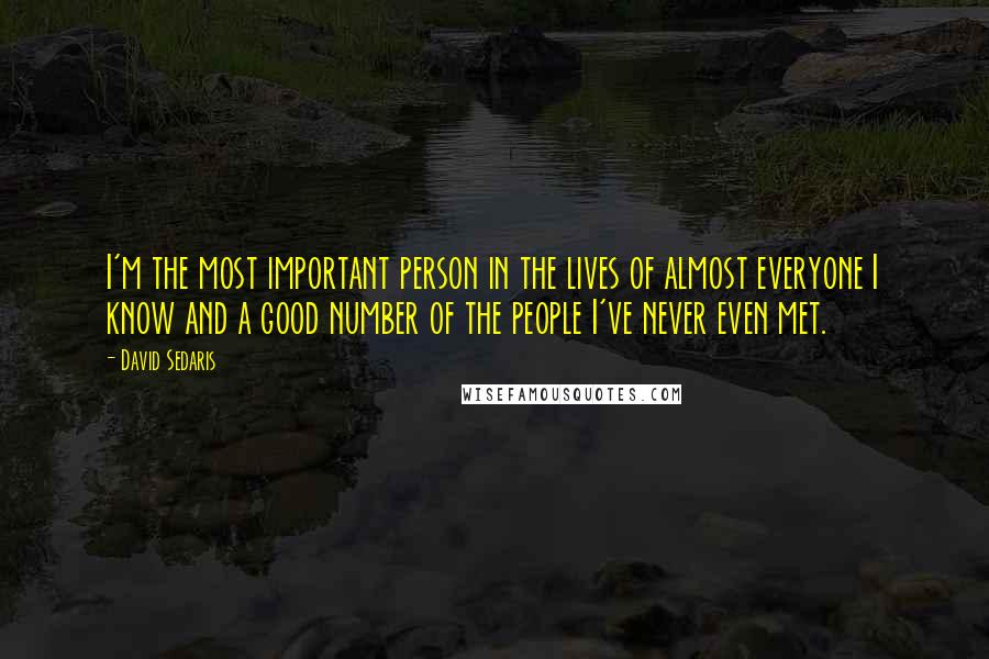 David Sedaris Quotes: I'm the most important person in the lives of almost everyone I know and a good number of the people I've never even met.