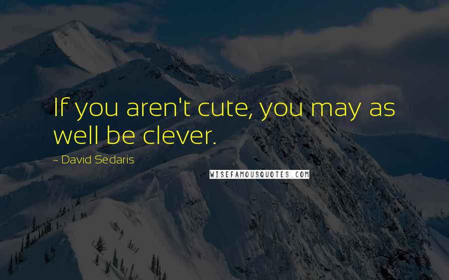 David Sedaris Quotes: If you aren't cute, you may as well be clever.