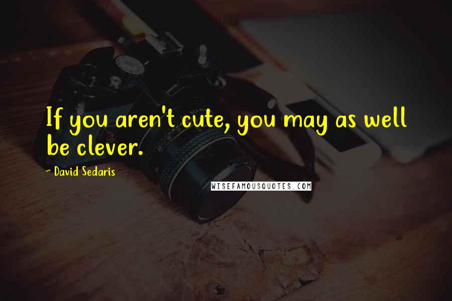 David Sedaris Quotes: If you aren't cute, you may as well be clever.