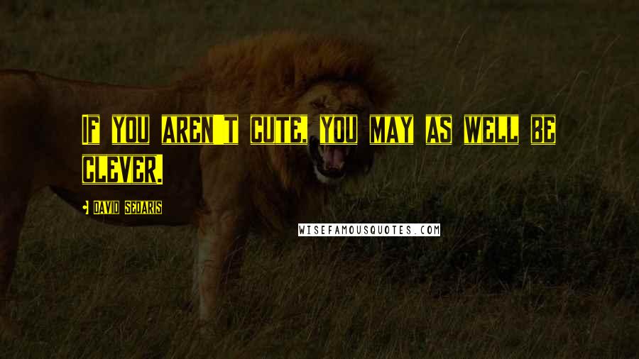 David Sedaris Quotes: If you aren't cute, you may as well be clever.