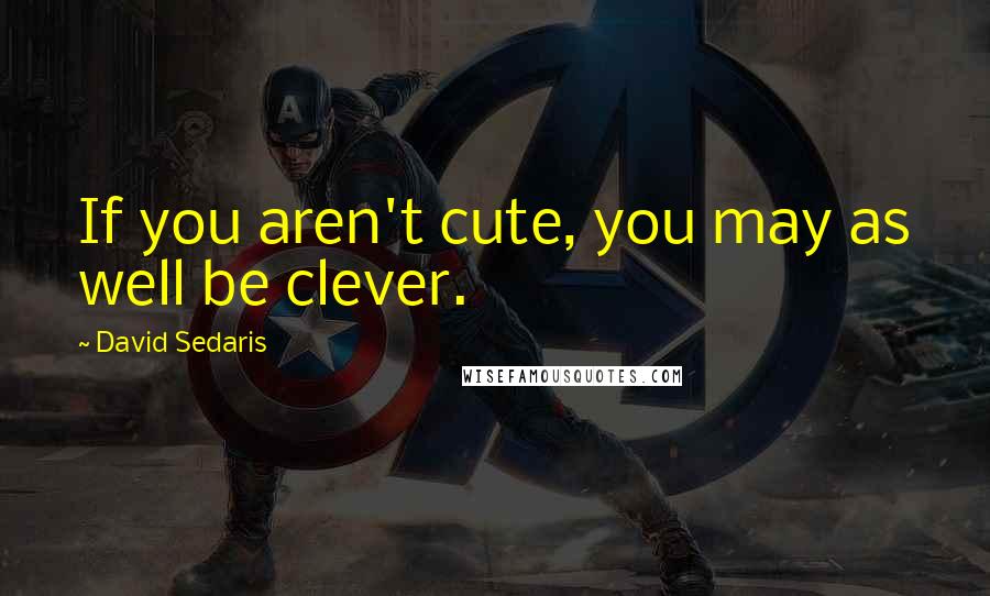 David Sedaris Quotes: If you aren't cute, you may as well be clever.