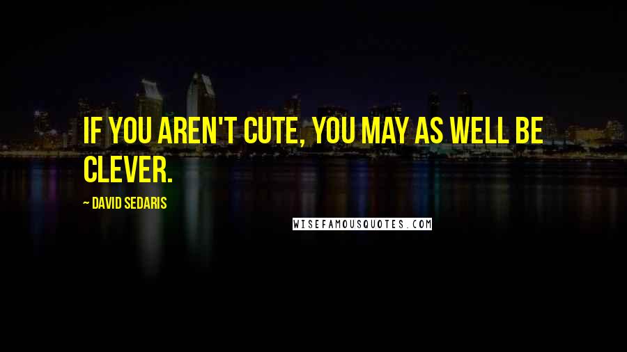 David Sedaris Quotes: If you aren't cute, you may as well be clever.