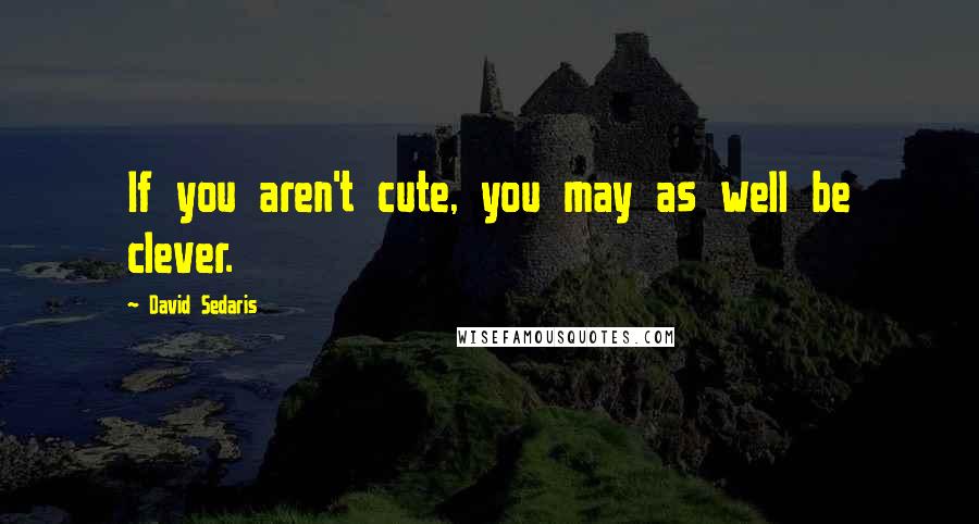 David Sedaris Quotes: If you aren't cute, you may as well be clever.