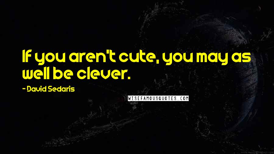 David Sedaris Quotes: If you aren't cute, you may as well be clever.