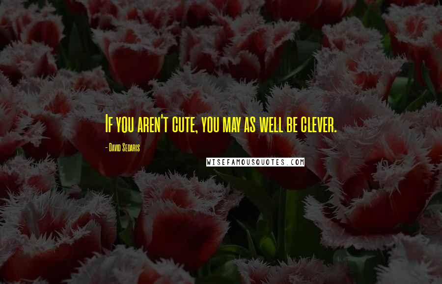 David Sedaris Quotes: If you aren't cute, you may as well be clever.
