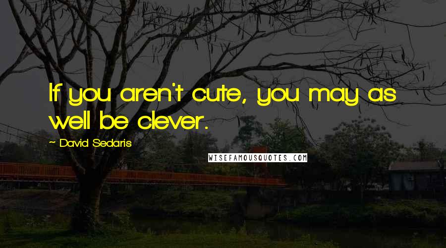 David Sedaris Quotes: If you aren't cute, you may as well be clever.