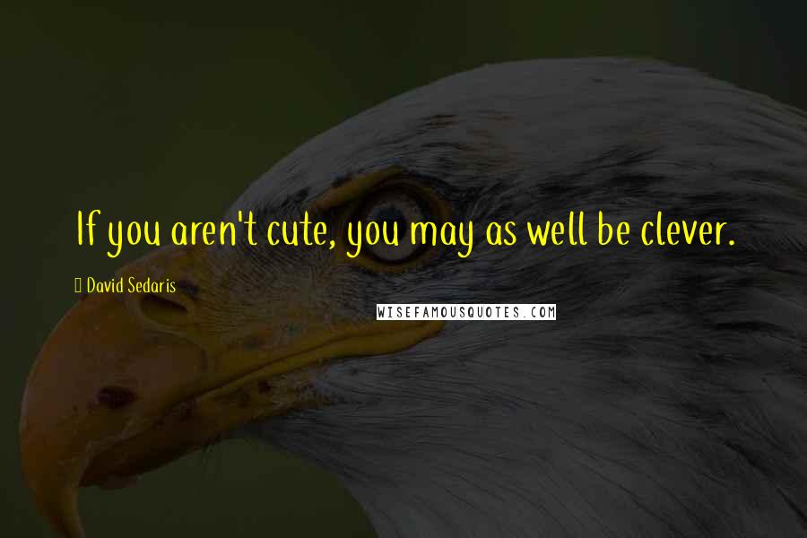 David Sedaris Quotes: If you aren't cute, you may as well be clever.