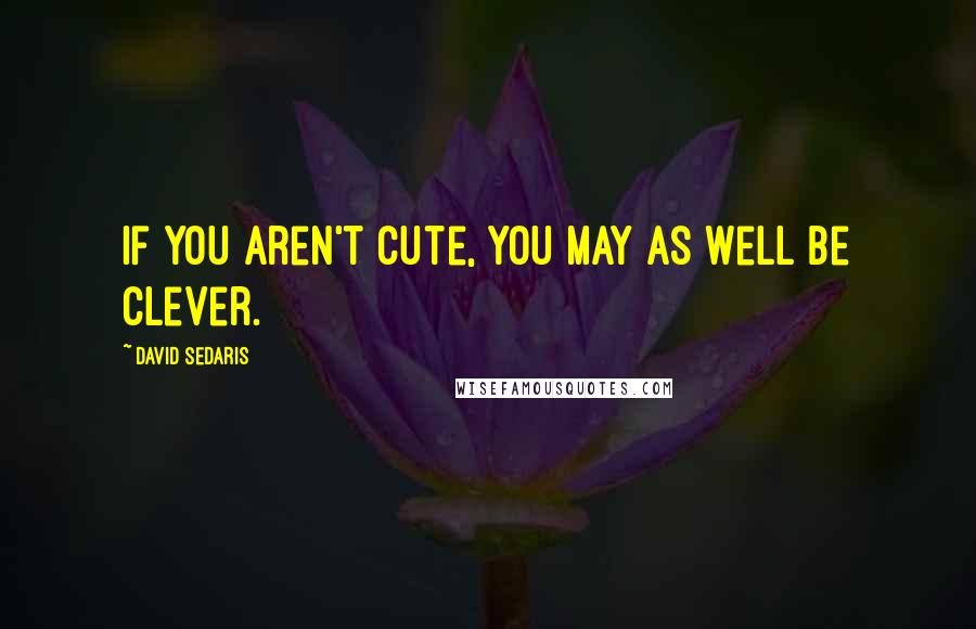 David Sedaris Quotes: If you aren't cute, you may as well be clever.