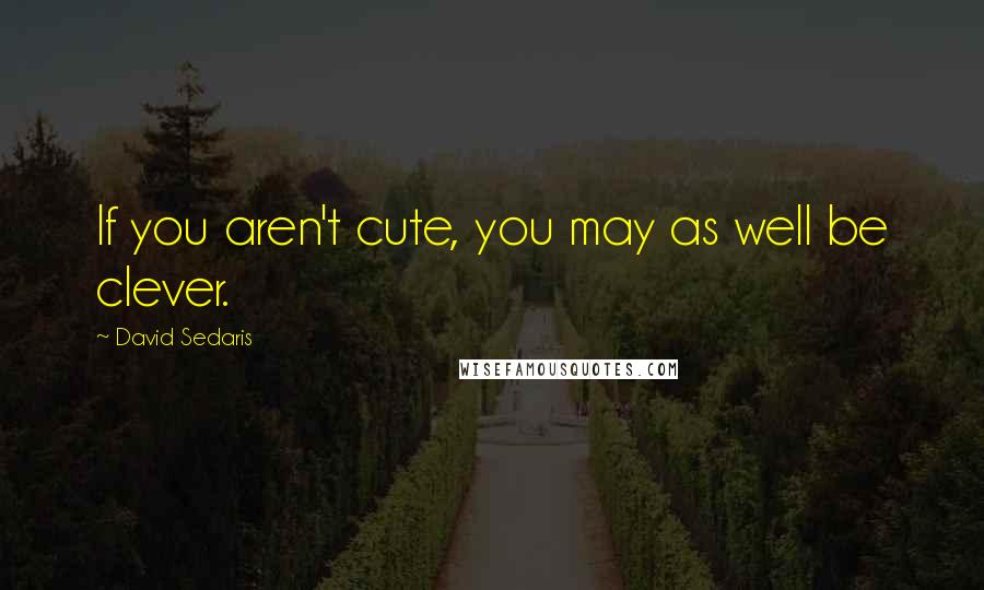 David Sedaris Quotes: If you aren't cute, you may as well be clever.