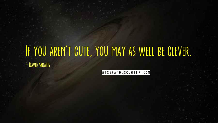 David Sedaris Quotes: If you aren't cute, you may as well be clever.