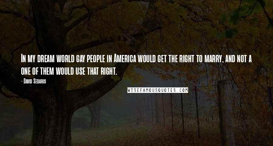 David Sedaris Quotes: In my dream world gay people in America would get the right to marry, and not a one of them would use that right.