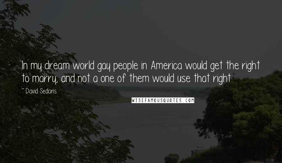 David Sedaris Quotes: In my dream world gay people in America would get the right to marry, and not a one of them would use that right.