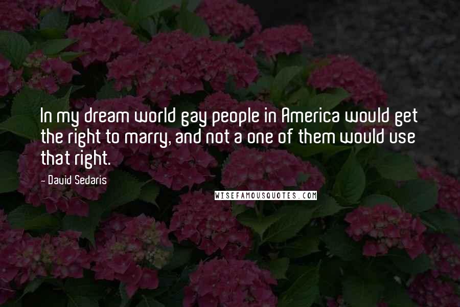 David Sedaris Quotes: In my dream world gay people in America would get the right to marry, and not a one of them would use that right.