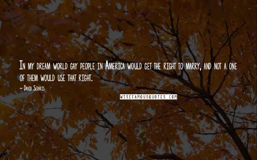 David Sedaris Quotes: In my dream world gay people in America would get the right to marry, and not a one of them would use that right.