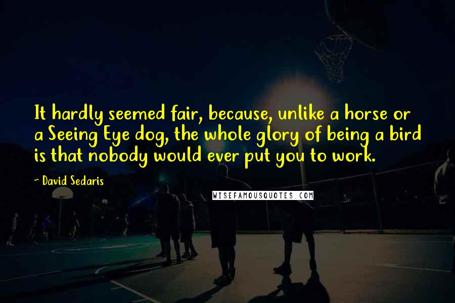 David Sedaris Quotes: It hardly seemed fair, because, unlike a horse or a Seeing Eye dog, the whole glory of being a bird is that nobody would ever put you to work.