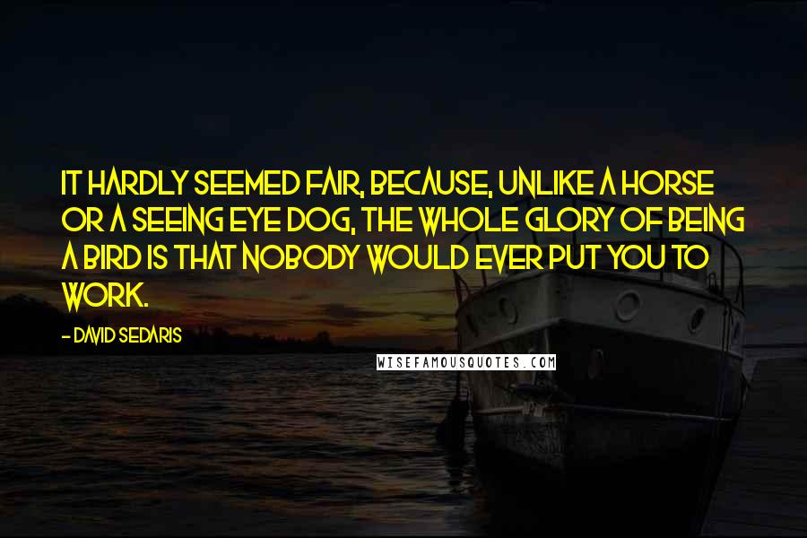 David Sedaris Quotes: It hardly seemed fair, because, unlike a horse or a Seeing Eye dog, the whole glory of being a bird is that nobody would ever put you to work.