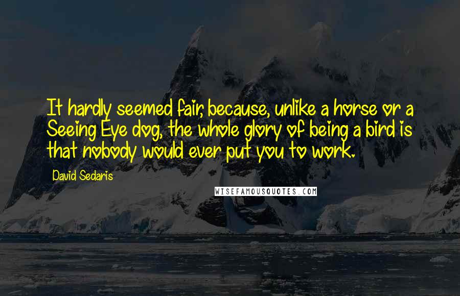 David Sedaris Quotes: It hardly seemed fair, because, unlike a horse or a Seeing Eye dog, the whole glory of being a bird is that nobody would ever put you to work.