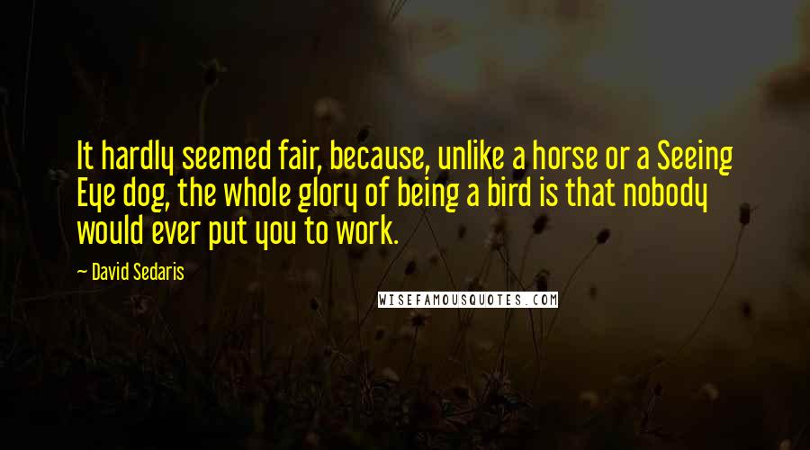 David Sedaris Quotes: It hardly seemed fair, because, unlike a horse or a Seeing Eye dog, the whole glory of being a bird is that nobody would ever put you to work.