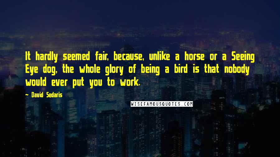 David Sedaris Quotes: It hardly seemed fair, because, unlike a horse or a Seeing Eye dog, the whole glory of being a bird is that nobody would ever put you to work.